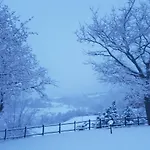 Casa Vacanze Fattoria Il Cerro * Pianelleto
